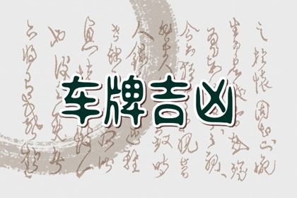 车牌字母的争议