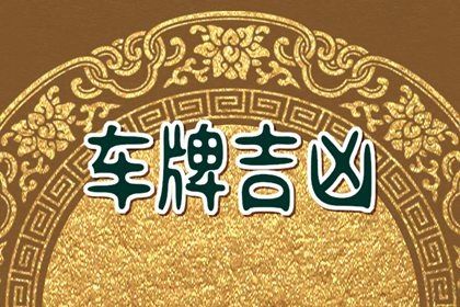 六爻结构能看什么