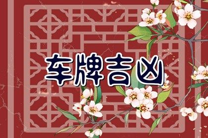 8一定吉吗