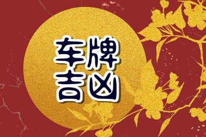 车牌号结构分类
