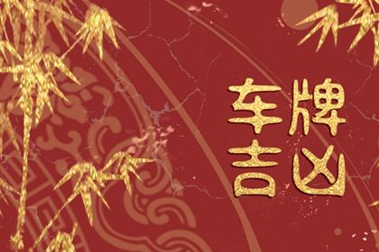 选号与数字结构
