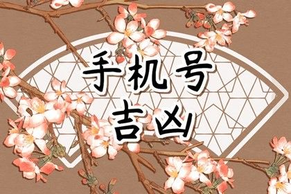 卦象如何取象