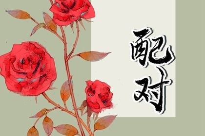 智能八字取名 生晨辰八字起名 八字起名取名字