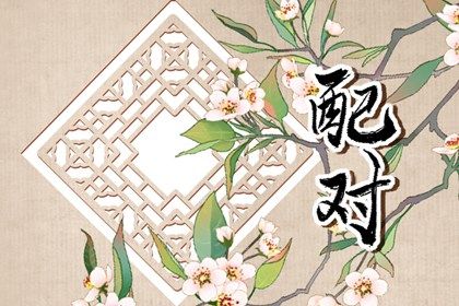 姓名配对在合婚中的位置