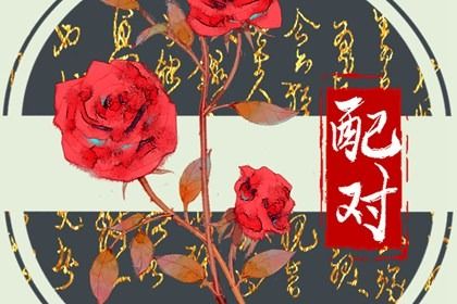 车牌吉凶测算2026|测车牌号码吉凶|车牌号吉凶查询|算车牌号码吉凶查询|八字选车牌号码