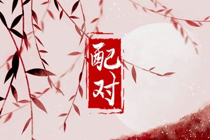 星座配对和现实夫妻样本