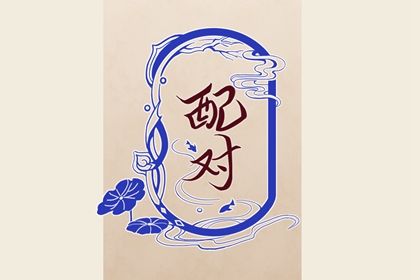 理想伴侣的消费观