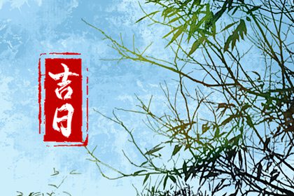 空白字段为何空