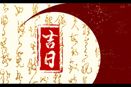 冲煞字段怎么标