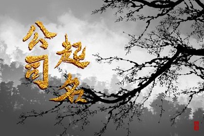 取名周易 智能周易取名 周易取名 取名字周易取名