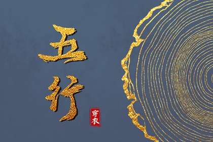 数字化五行参考用法