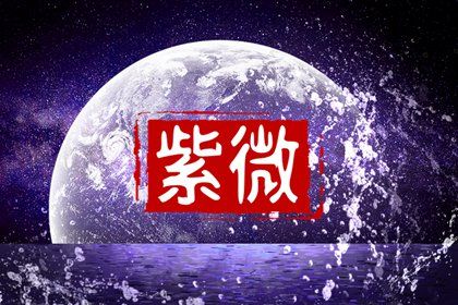 结构为何先于细节