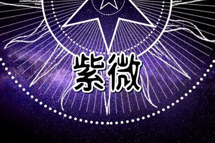 纳音的文化趣味